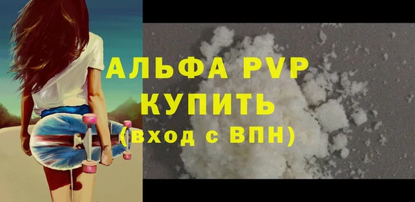 индика Алексин