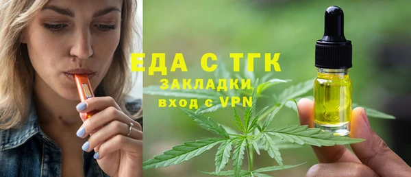 индика Алексин