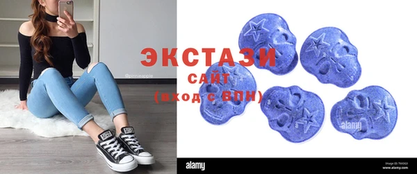 индика Алексин