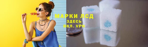 индика Алексин