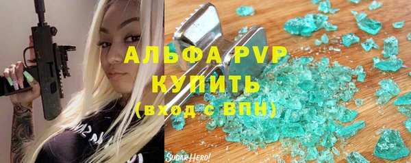 индика Алексин
