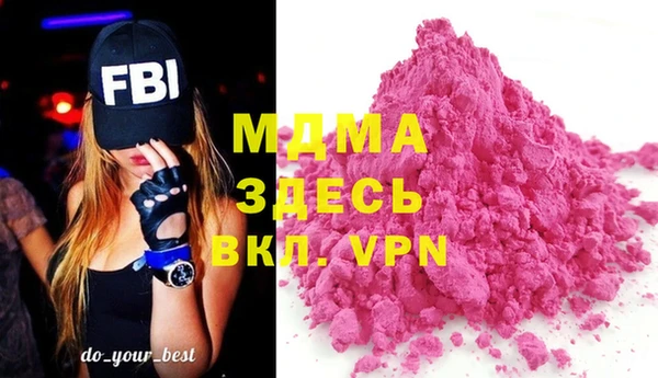 индика Алексин