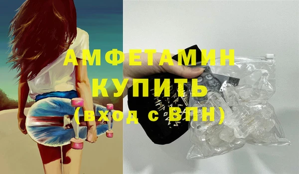 индика Алексин