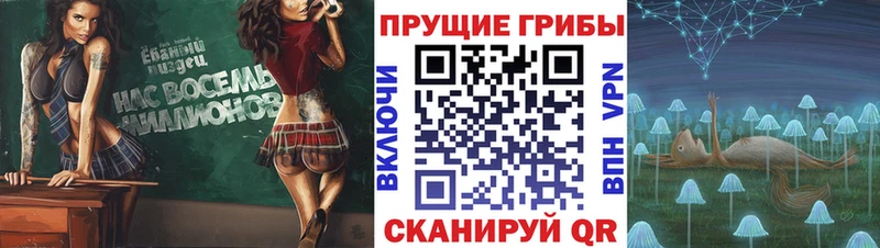 Галлюциногенные грибы Psilocybine cubensis  KRAKEN как зайти  Карасук 