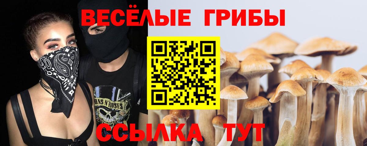 Псилоцибиновые грибы ЛСД  Вход с VPN  Галлюциногенные грибы ЛСД  Карасук 